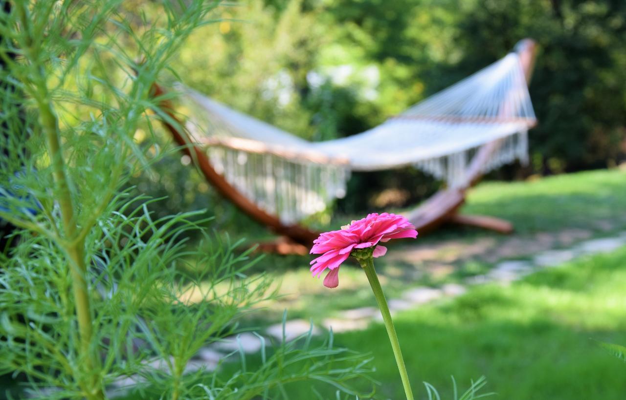 Golden Horn Guest House Iskrets Esterno foto